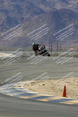 media/Mar-13-2022-SoCal Trackdays (Sun) [[112cf61d7e]]/Turns 9 and 8 (1020am)/